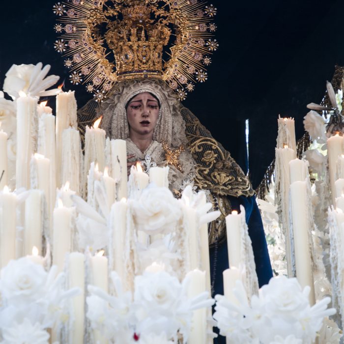 DIA ESTRELLA 04